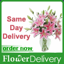 Flower Delivery返现比较与奖励比较