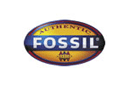 Fossil Online返现比较与奖励比较