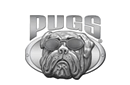 Pugs Gear返现比较与奖励比较