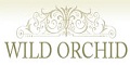 Wild Orchid返现比较与奖励比较